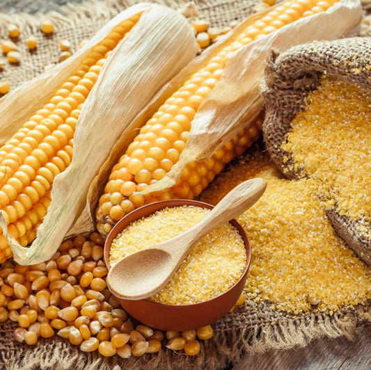Kambam (Maize Powder)