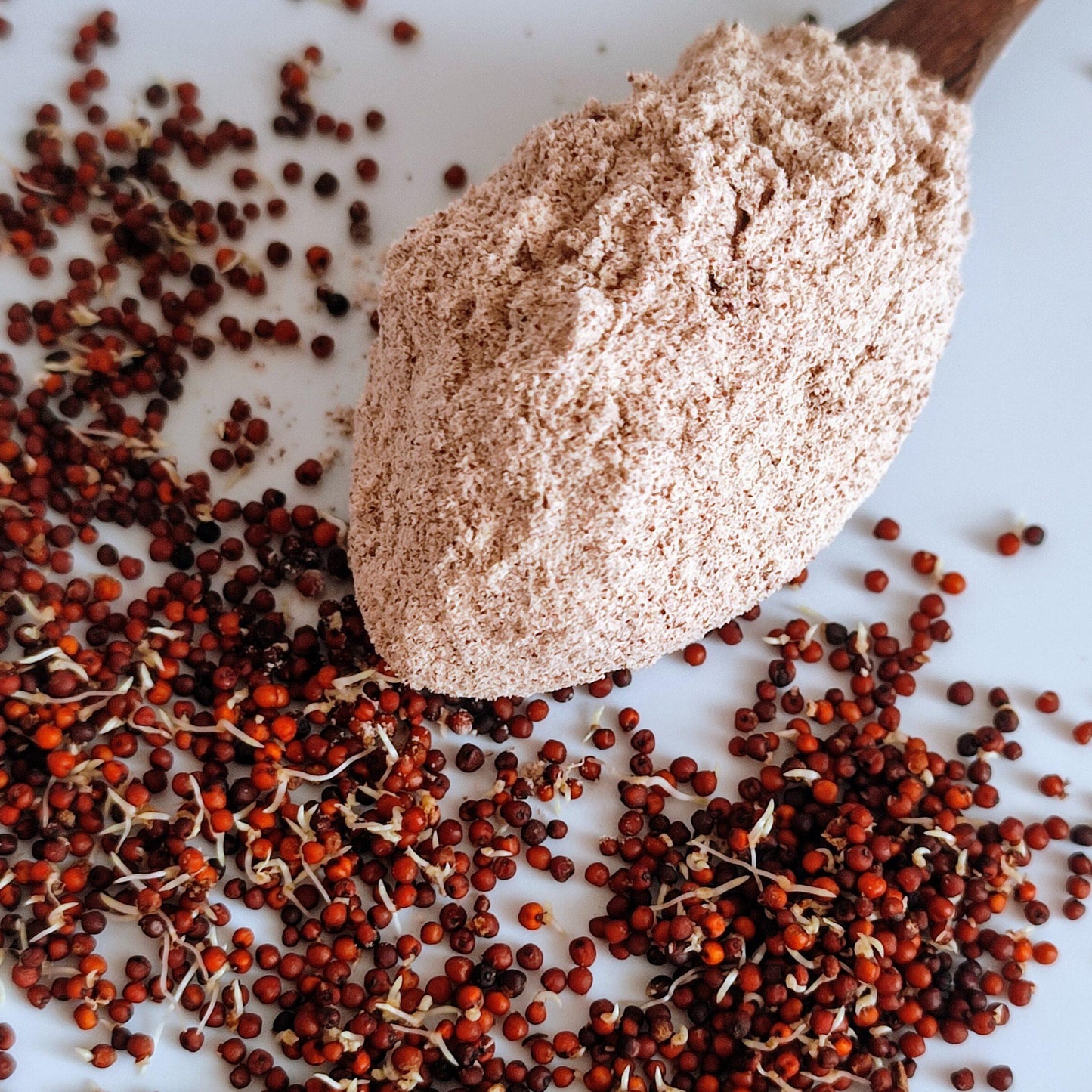 Sprouted Ragi Powder